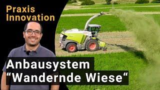 Kleegras als Streifen in Ackerflächen integrieren - das System Wandernde Wiese von Oliver Schmid