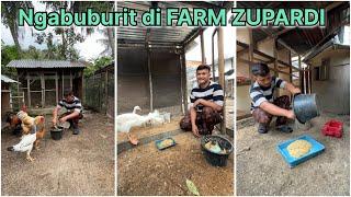 Nagbuburit di FARM ZUPARDI