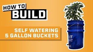How to Build Self Watering 5 Gallon Buckets