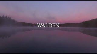 Walden Film