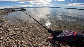 Seabass on Xorus Patchinko Adriatic Sea Crikvenica