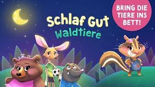 Schlaf Gut Waldtiere  Geschichte zum Einschlafen für Kinder ab 2 mit Tieren und Musik  Gute Nacht