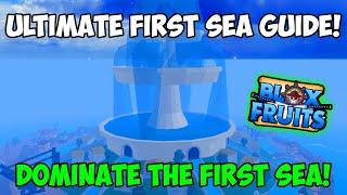 The ULTIMATE First Sea Guide In Blox Fruits How To DOMINATE The First Sea In Blox Fruits