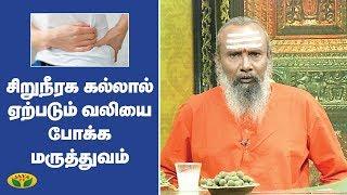 சிறுநீரக கல்லால் ஏற்படும் வலியை போக்க மருத்துவம்  Parambariya Vaithiyam  Jaya TV