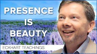 Does Appearance Really Matter?  Eckhart Tolle Teachings