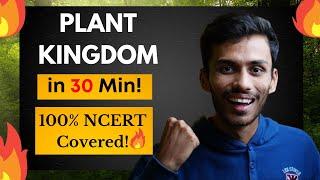 Plant Kingdom in 30 Min  Fast Revision ONE SHOT NCERT Line to Line  Class 11  NEET