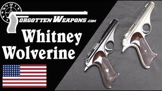 Whitney Wolverine Atomic Age Design in a .22 Rimfire