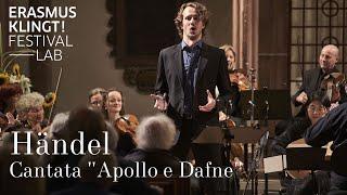 Händel Cantata Apollo e Dafne HWV 122  Kasper Debus Freiburger Barockorchester René Jacobs