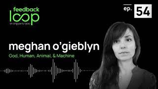 God Human Animal & Machine  Meghan OGieblyn Feedback Loop ep 54
