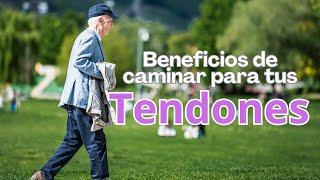 Beneficios de caminar para nuestros tendones