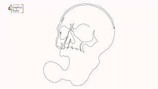 Drawing Demons Skull Line Art on Whiteboard #techs #drawing #whiteboardanimation #graphicstechs