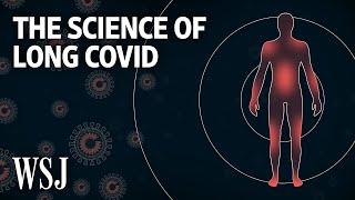 What Causes Long Covid and Who Is Most at Risk?  WSJ