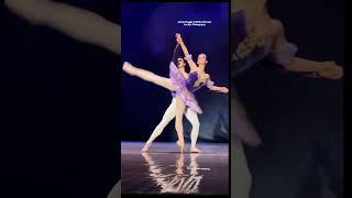 Ballet is beautiful ️🩰 #ballet #shorts #shortfilm