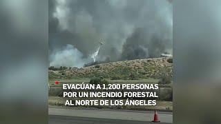 Evacúan a 1200 personas por un incendio forestal al norte de Los Ángeles