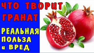 ЧТО ТВОРИТ ГРАНАТ с ОРГАНИЗМОМ Реальная Польза и Вред Граната