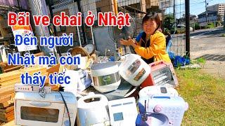 Làm Giàu nghề Lượm Ve Chai - Quá Ngạc Nhiên kh Người Nhật cũng thấy Lãng Phí