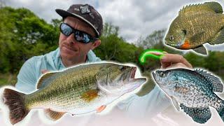 BASS & CRAPPIE MAGNET This Technique Catches Everything