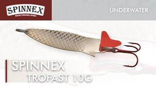 Spinnex  Trofast 10g - Underwater Lure Action