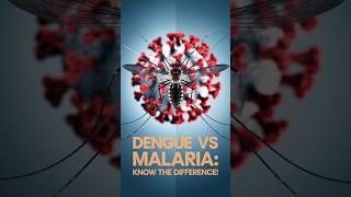 Dengue vs Malaria Know the Difference