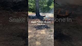 ️SNAKE INFESTATION️              #short #shorts #snake #fire #tiktok #tiktokvideo #tiktokviral