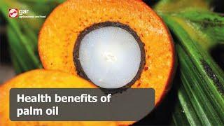 Health benefits of palm oil