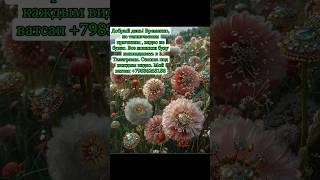 Телеграмм httpst.me+2KyU2PXmGIJmNDEy  WhatsApp httpsapi.whatsapp.comsend?phone=79836263158