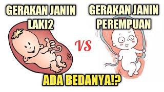 Perbedaan Gerakan Janin Laki-laki dan Perempuan? Ini Faktanya..