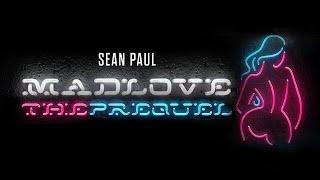 09 Sean Paul - No Lie Ft. Dua Lipa Official Audio