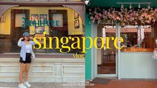 SINGAPORE VLOG 2024 —  part one  exploring tourist spots accommodation diy itinerary ️