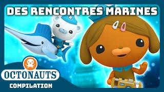 Octonauts -  Des rencontres marines ÉCLABOUSSANTES   Compilation  Dessins animés pour enfants