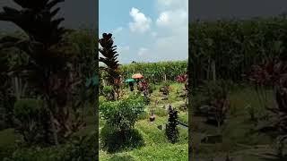 Momen Lebaran TPU Pondok Rajeg Ramai Didatangi Peziarah