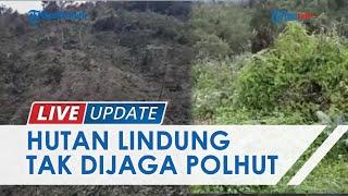 24 Ribu Hektar Kawasan Hutan Lindung Pagar Alam Tak Dijaga Polisi Hutan Disebut Rawan Pencaplokan