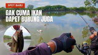 Edan‼️ Gak Cuma Ikan Target Binatang Lain Juga Mau Nyambar Umpan