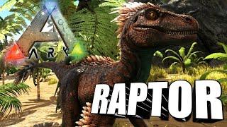 Taming A Raptor  Ark Survival Evolved  The Island