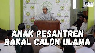 Anak Pesantren Bakal Calon Ulama  Ponpes. Mambaul Ulum  Ustadz Abdul Somad