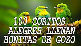 Coros Viejitos Pero Bonitos - Coros Pentecostales - Mas De 100 Coros Avivamiento Pentecostal