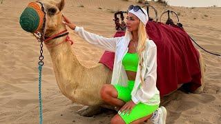 Дубай 2023 что посмотреть ?Сафари в пустыне ужин . #life #travel #2023 #vlog #safaricar #dubai#