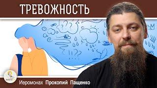 КАК ПОБОРОТЬ ТРЕВОЖНОСТЬ ?  Иеромонах Прокопий Пащенко