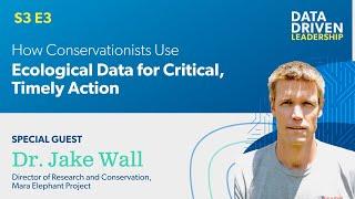 How Conservationists Use Ecological Data for Critical Timely Action