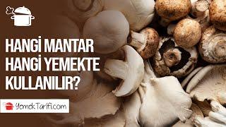 HANGİ MANTAR ÇEŞİDİ HANGİ YEMEKTE KULLANILIR? MANTAR NASIL SAKLANIR? #mantar #tarif #püfnokta