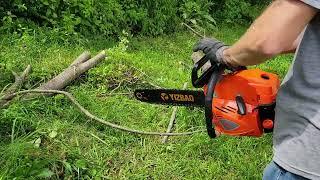 $100 Chainsaw In Action