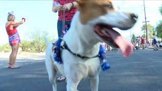 Tucson neighborhood celebrates 4th of July with 61st annual parade