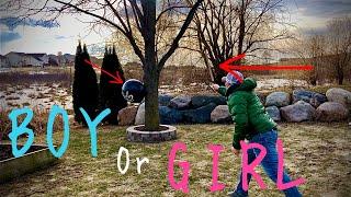 Funniest Gender Reveal youll see Gender reveal gone wrong