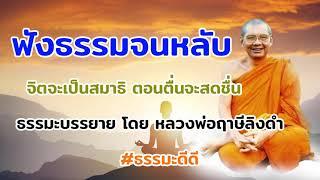 ฟังธรรมจนหลับ ฟังธรรมก่อนนอน ธรรมบรรยายโดย หลวงพ่อฤาษีลิงดำ