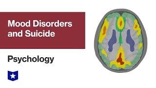 Mood Disorders and Suicide  Psychology