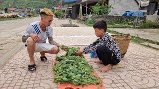 Nam - poor boy Harvesting sweet pumpkins to sell. Water vegetables and clean around the house