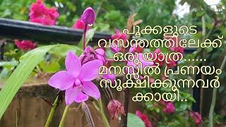 പൂക്കളുടെ വസന്തത്തിലേക്ക് ഒരു യാത്ര...... മനസ്സിൽ പ്രണയം സൂക്ഷിക്കുന്നവർക്കായി......