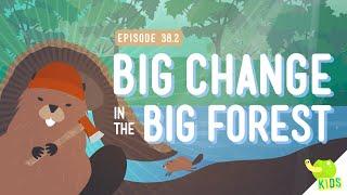 Big Changes in the Big Forest Crash Course Kids #38.2