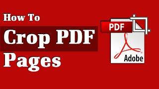 Get Rid of Excess Margins Quick and Easy PDF Cropping Tutorial