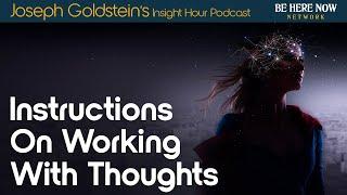 Instructions on Working with Thoughts – Joseph Goldsteins Insight Hour Podcast Ep. 175